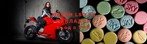 ПСИЛОЦИБИНОВЫЕ ГРИБЫ Ладушкин