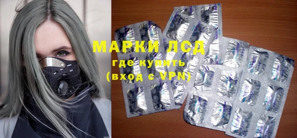 ПСИЛОЦИБИНОВЫЕ ГРИБЫ Ладушкин