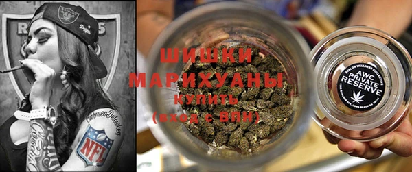 ПСИЛОЦИБИНОВЫЕ ГРИБЫ Ладушкин