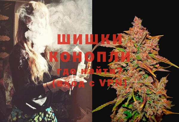 spice Лагань