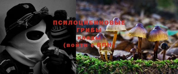 таблы Лабытнанги